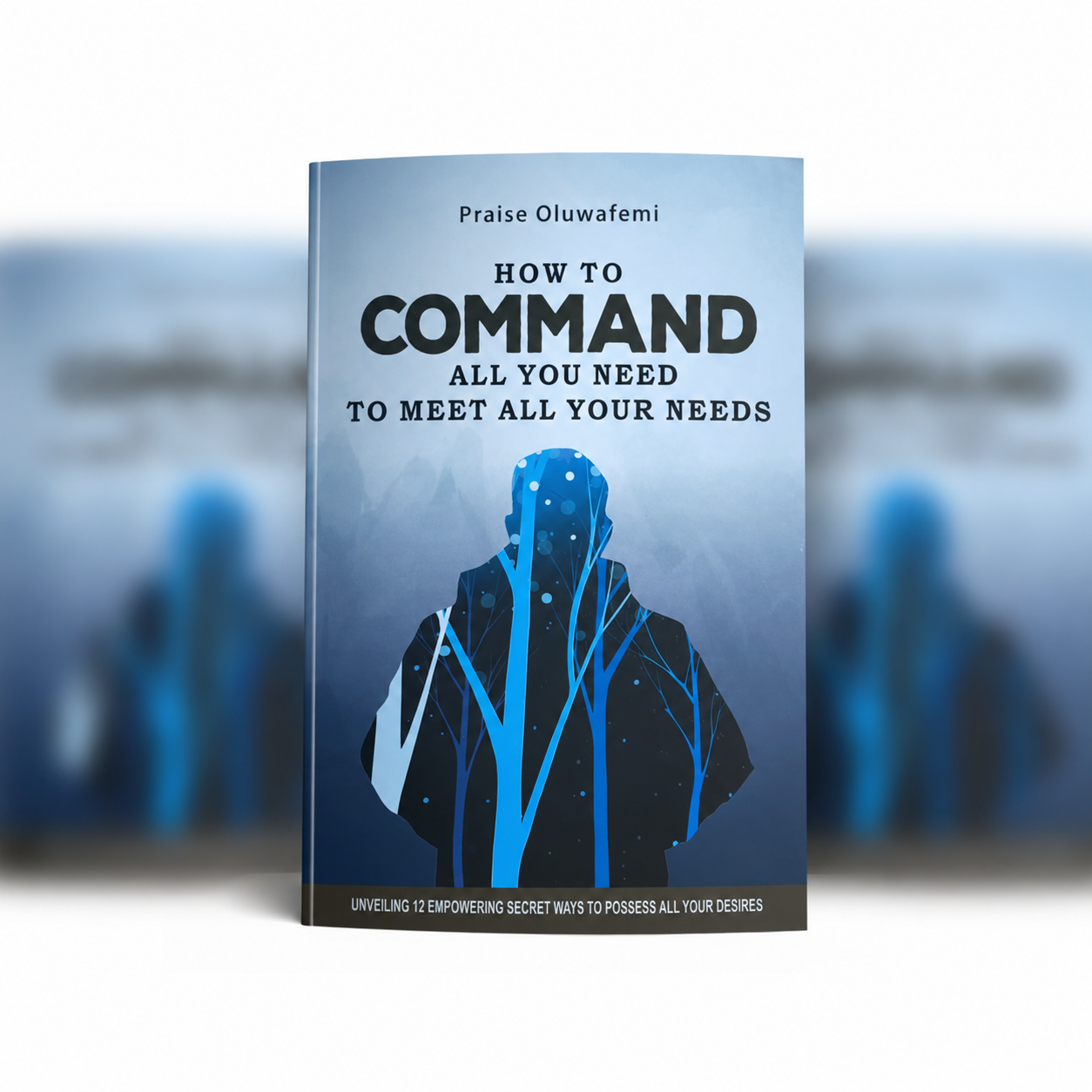 How to Command All You Need to Meet All Your Needs — Front cover · Paperback