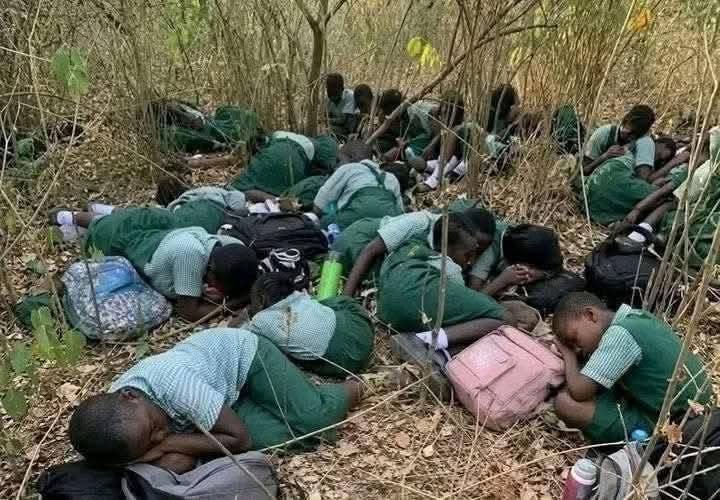 Schoolchildren taken from class